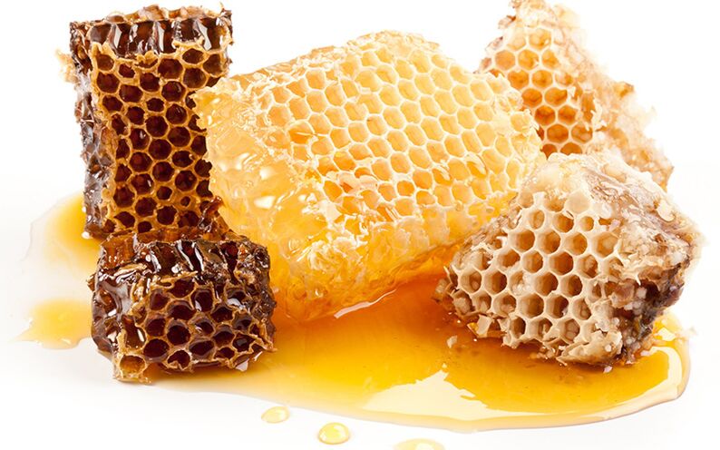 Abeja panal
