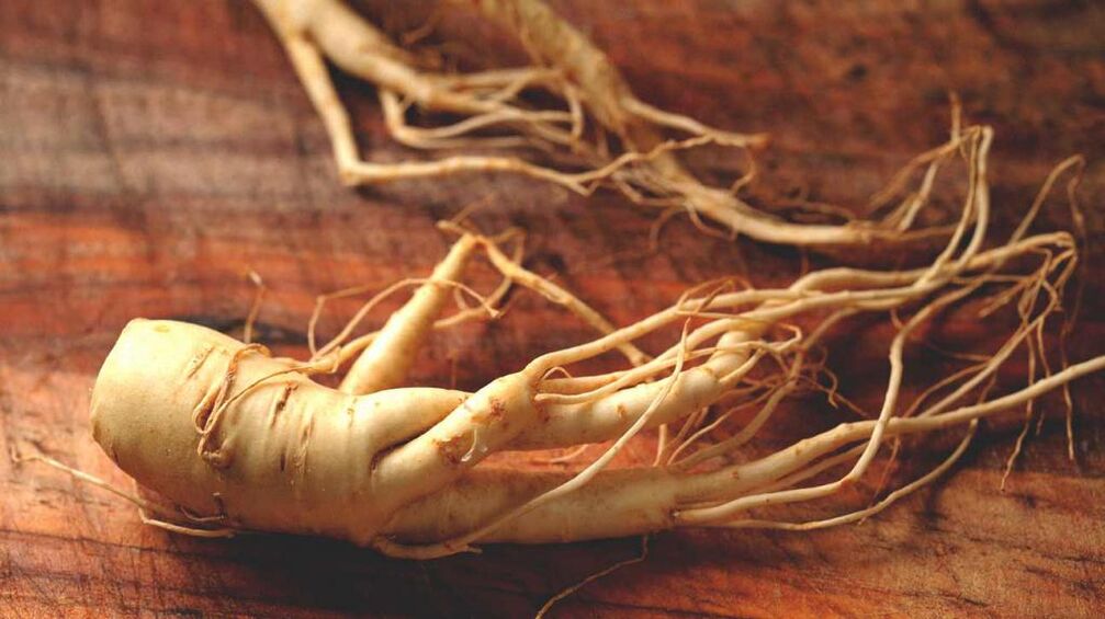 raíz de ginseng para aumentar la potencia
